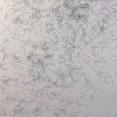 1mm length Cellulose mascara fibers 